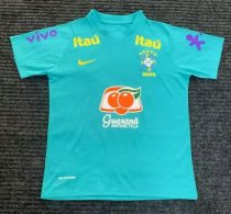 Brazil Special Edition Fans 1:1 Quality Soccer Jersey 2020-2021