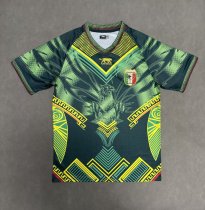Mali Green Fans   1:1 Quality Soccer Jersey 26-27 (2026)