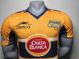 Retro Tiger Home 1:1 Quality Soccer Jersey   2000-2001