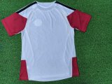 Germany Training Special Edition With Pants Set Player White 1:1 Quality Soccer Jersey   26-27 (2026)
