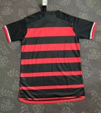 Flamenco home Fans  1:1  24-25