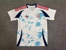 Costa Rica away Fans 1:1 Quality Soccer Jersey  24-25