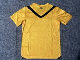 Santos Special Edition yollow  fans 1:1 Quality Soccer Jersey  24-25