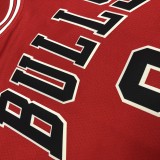 Chicago Bulls Red #8 LAVINE 1:1 Quality NBA  Season Jerseys