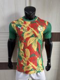 Senegal Special Edition player   1:1 Quality Soccer Jersey   25-26