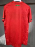 Retro  Portugal Home Player   1:1 Quality Soccer Jersey 2010