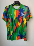 Brazil Special Edition Fans 1:1 Quality Soccer Jersey 25-26