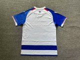 Reading  home Fans  1:1 Quality Soccer Jersey  24-25