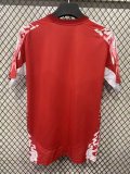 Manchester United Special Edition Fans 1:1 Quality Soccer Jersey   25-26