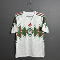 Mexico Special Edition Fans 1:1 Quality Soccer Jersey   26-27 (2026)
