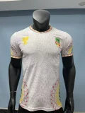 Mali Home player  1:1 Quality Soccer Jersey   25-26