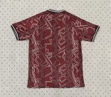 Denmark Special Edition Fans 1:1 Quality Soccer Jersey 24-25