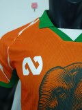 Ivory Coast Special Edition player  1:1 Quality Soccer Jersey   25-26