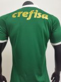 Palmeiras Home player 1:1 24-25