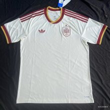 Spain Away Fans (S-6XL) 1:1 Quality Soccer Jersey 26-27（2026）
