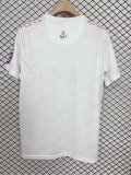 Koln Special Edition  rainbow Fans 1:1 Quality Soccer Jersey   25-26