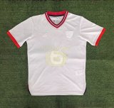 Lille(LOSC)  Special Edition Fans 1:1 Quality Soccer Jersey  24-25