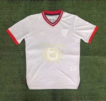 Lille(LOSC)  Special Edition Fans 1:1 Quality Soccer Jersey  24-25