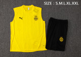 Dortmund  vest   training  fans  1:1 Quality Soccer Jersey  24-25