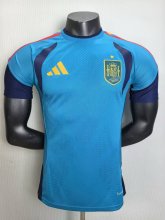 Spain Training Special Edition Player 1:1 Quality Soccer Jersey 26-27（2026）