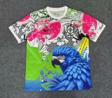 Brazil  Special Edition  Fans 1:1 Quality Soccer Jersey 25-26