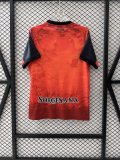 Napoli Halloween noctilucent Special Edition  Fans 1:1 Quality Soccer Jersey   25-26