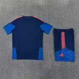 Colombia Training Special Edition  Fans 1:1 Quality Soccer Jersey 26-27（2026）