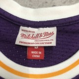 Retro Los Angeles Lakers Purple #32 JOHNSON  1:1 Quality NBA Season Jerseys  1998-1999