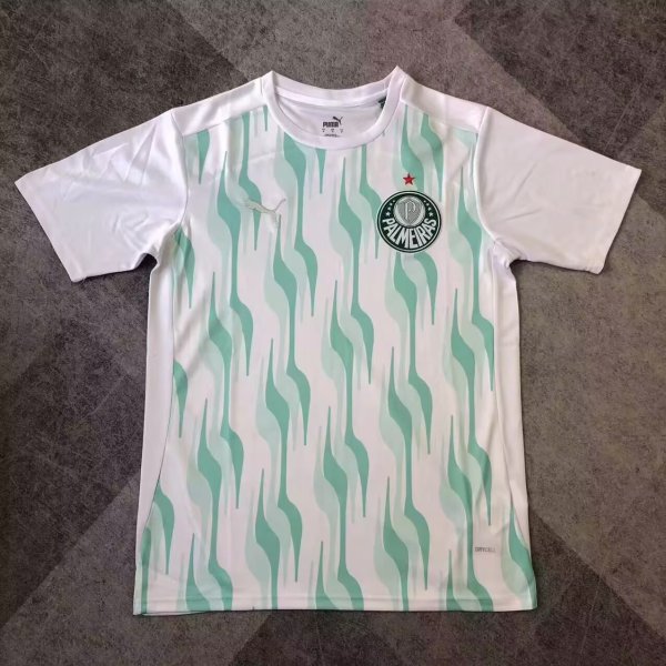 Palmeiras training fans 1:1 Quality Soccer Jersey   25-26