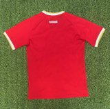 Panama Home   Fans 1:1 Quality Soccer Jersey    25-26