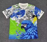 Brazil  Special Edition  Fans 1:1 Quality Soccer Jersey 25-26