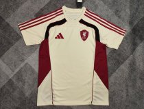 Liverpool Special Edition  Fans 1:1 Quality Soccer Jersey  25-26