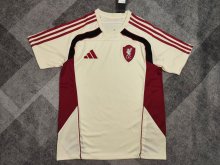 Liverpool Special Edition  Fans 1:1 Quality Soccer Jersey  25-26