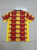 Barcelona  Special Edition  fans  1:1 Quality Soccer Jersey  24-25
