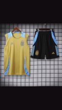 Argentina Training clothing Vest set  1:1 Quality Soccer Jersey    24-25