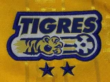 Retro  Tiger Home   1:1 Quality Soccer Jersey   1999 2000