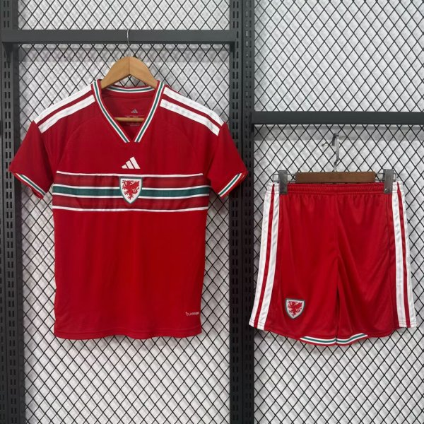 Wales  Home Kids 1:1 Quality Soccer Jersey  26-27(2026)
