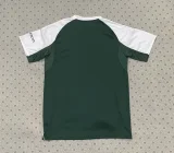 Celtic Special Edition Fans  1:1 Quality Soccer Jersey  25-26