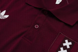 Ajax Polo Fans  Red 1:1 Quality Soccer Jersey  25-26