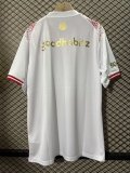 PSV Eindhoven  Special Edition Fans 1:1 Quality Soccer Jersey  26-27