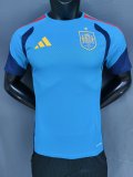 Spain Training Special Edition With Pants Sets Player 1:1 Quality Soccer Jersey 26-27（2026）