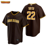 MLB San Diego Padres  fans palm baseball  Jerseys  2025