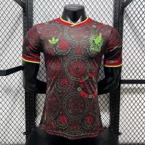 Mexico Special Edition Player 1:1 Quality Soccer Jersey   26-27 (2026)