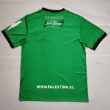 Palestine green Special Edition Fans 1:1 Quality Soccer Jersey 25-26