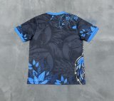 Brazil Special Edition Fans 1:1 Quality Soccer Jersey 25-26