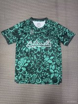 Palestino Green English Edition Fans  1:1 Quality Soccer Jersey  26-27