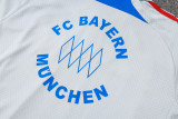 Bayern Munich Polo Fans  Grey 1:1 Quality Soccer Jersey  25-26