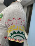 Mali Home player  1:1 Quality Soccer Jersey   25-26