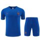 France Training Blue With Pants Sets (16-2XL) 1:1 Quality Soccer Jersey  26-27（2026）