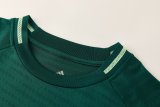 Arsenal Training Special Edition Player Green 1:1 Quality Soccer Jersey    25-26